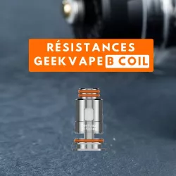 RÉSISTANCE B COIL SERIES GeekVape - Pack de 5 Résistances Compatibles Zeus Nano et Aegis Boost