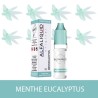 E-liquide Menthe Eucalyptus ALFALIQUID - e-clopevape